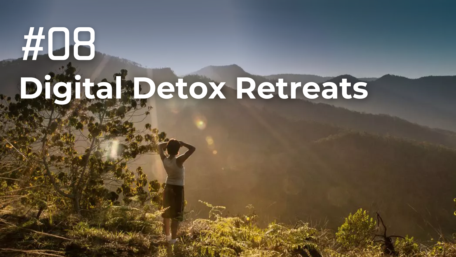 Digital Detox