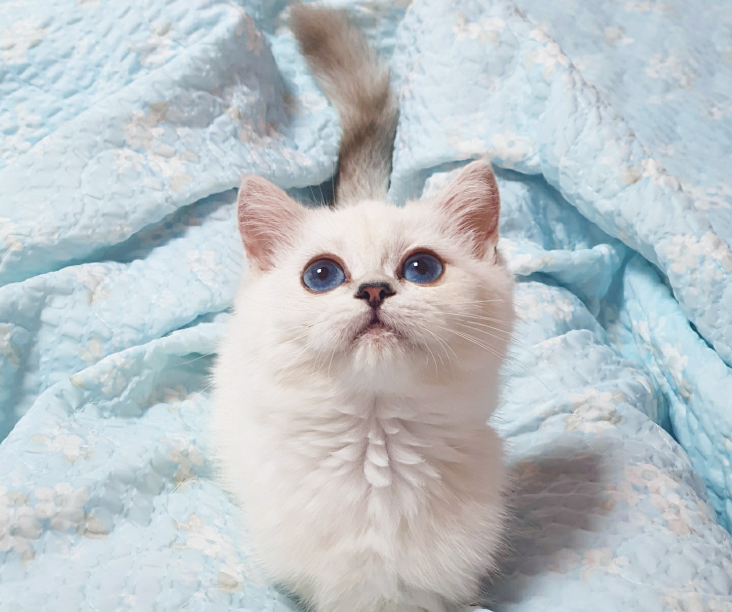 c8f816b3b4f14.jpg