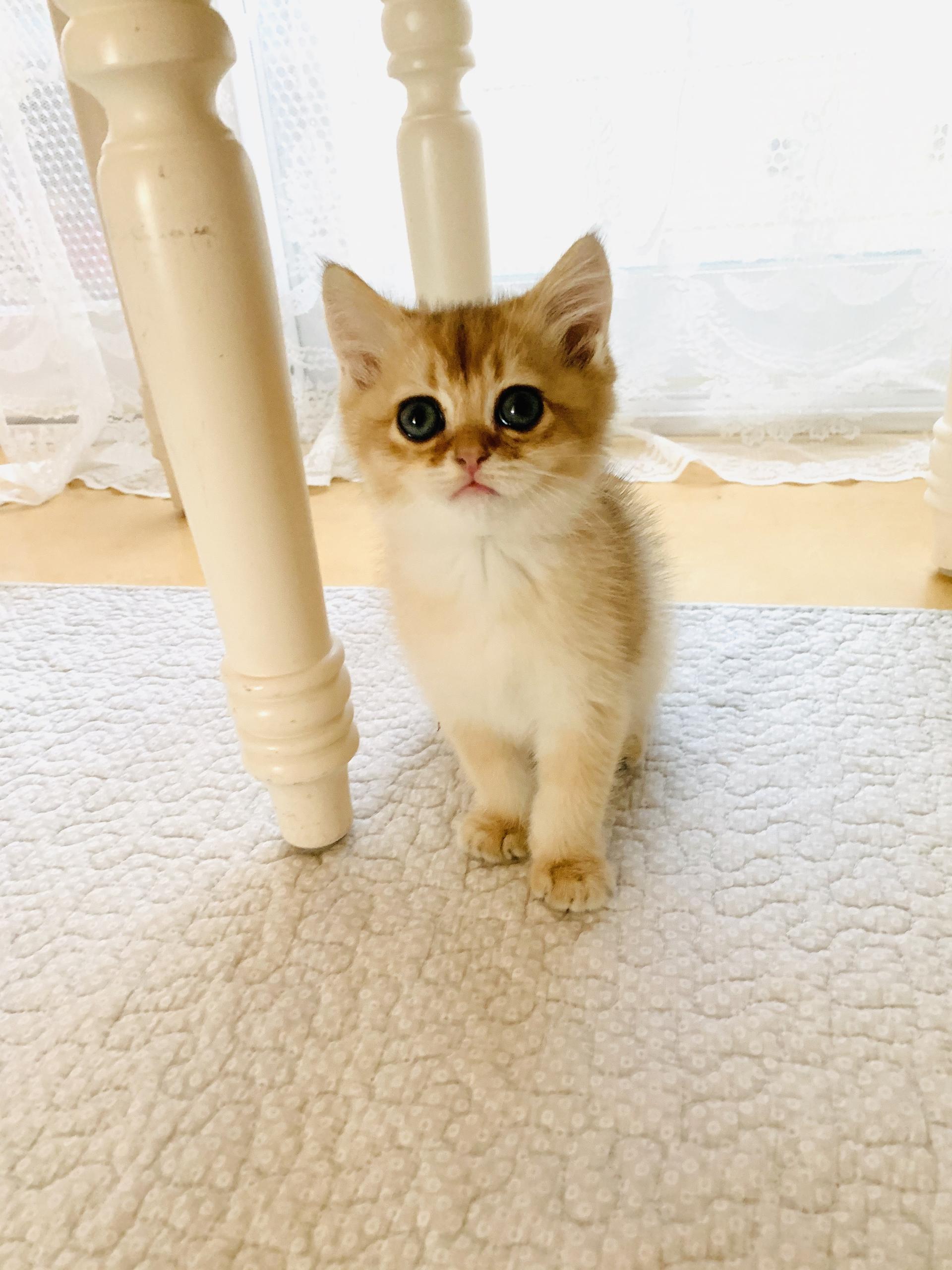e1929d87f092e.jpeg