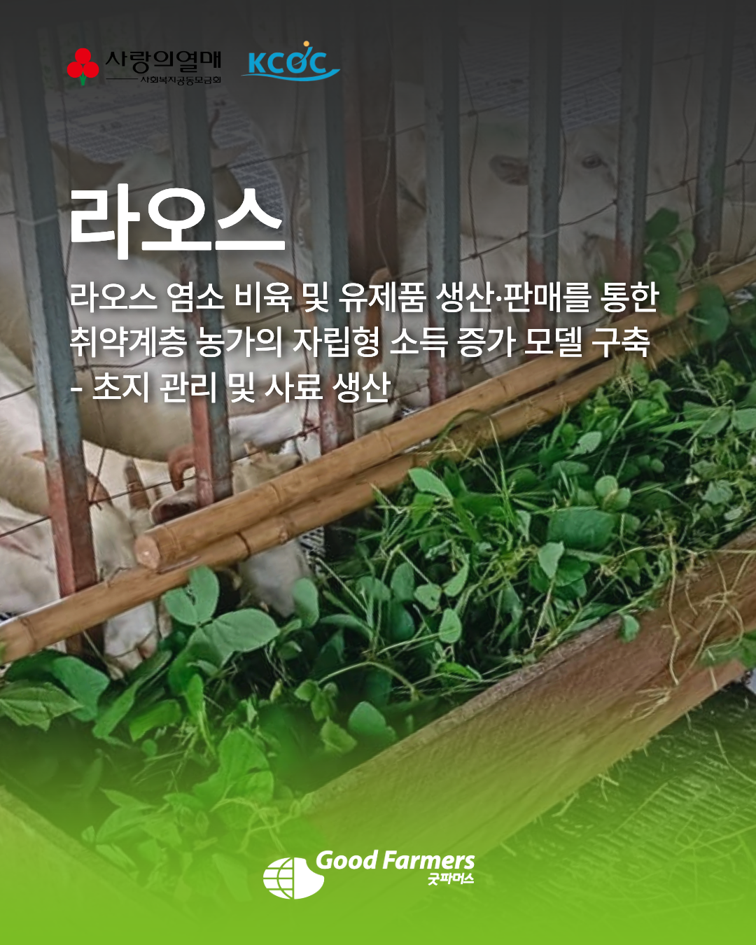 1559659a64cd6.png