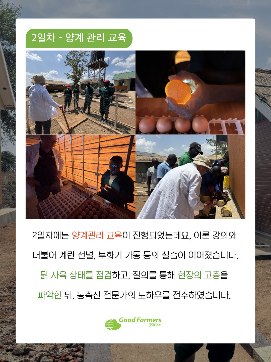 2fd4674a0cd08.png