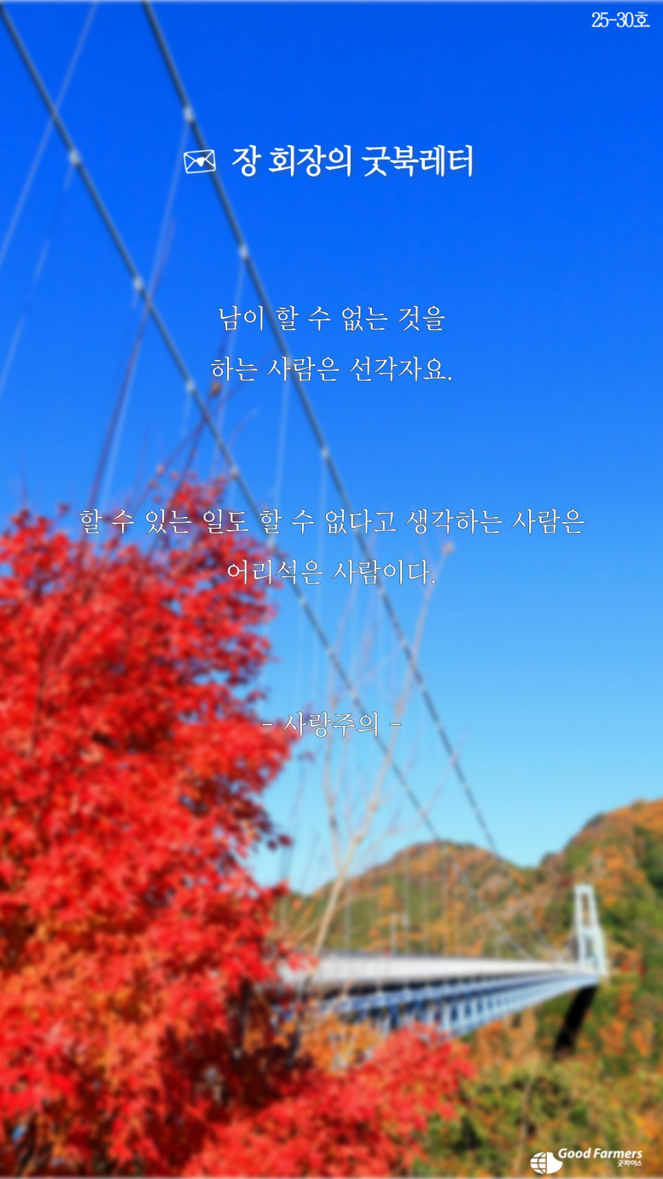 324163b5d06ae.png