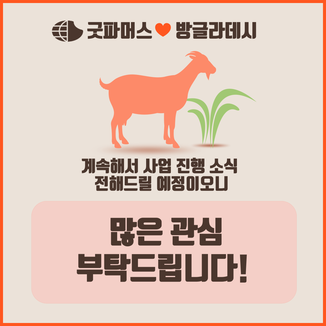 382fe4f1b04f3.png
