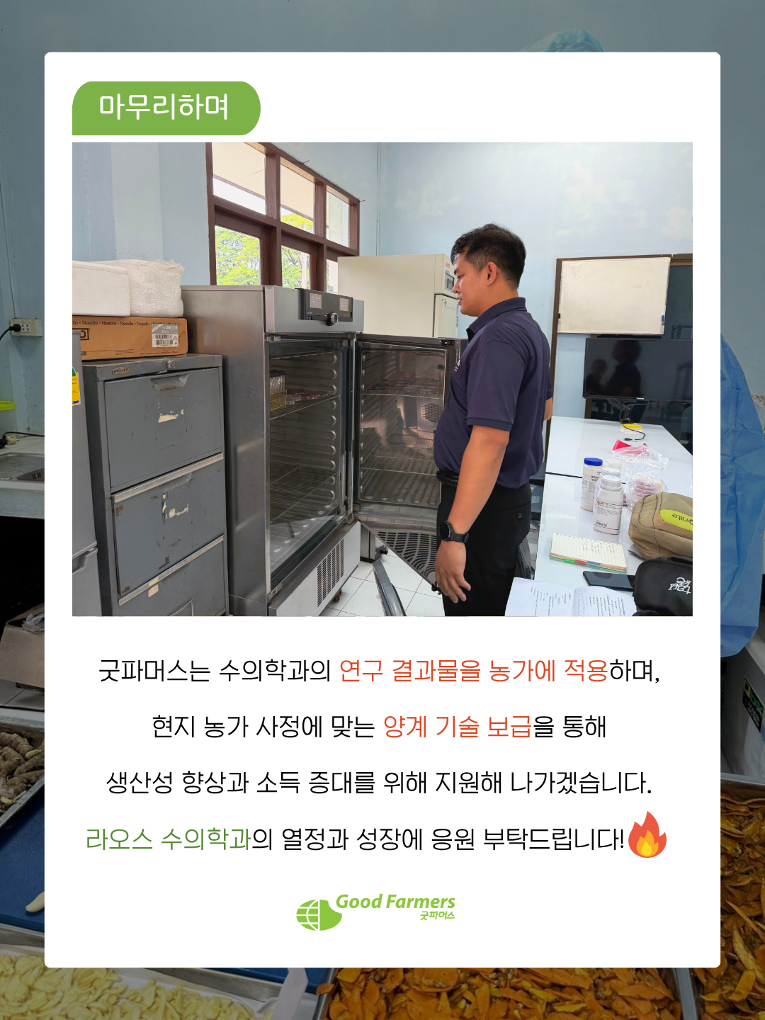 424aef4f78065.png