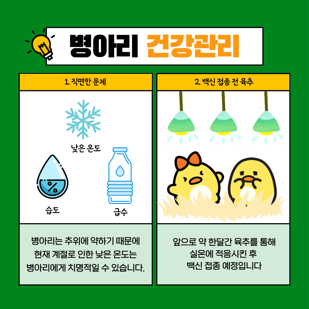 4886e8162a08a.png