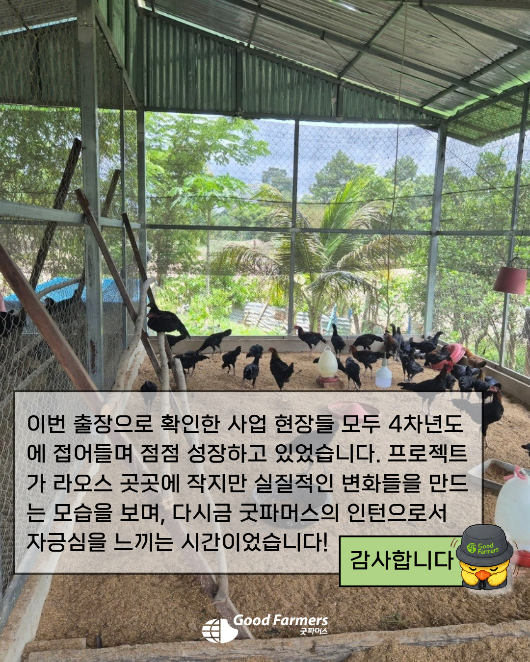 4c965af396b3f.png