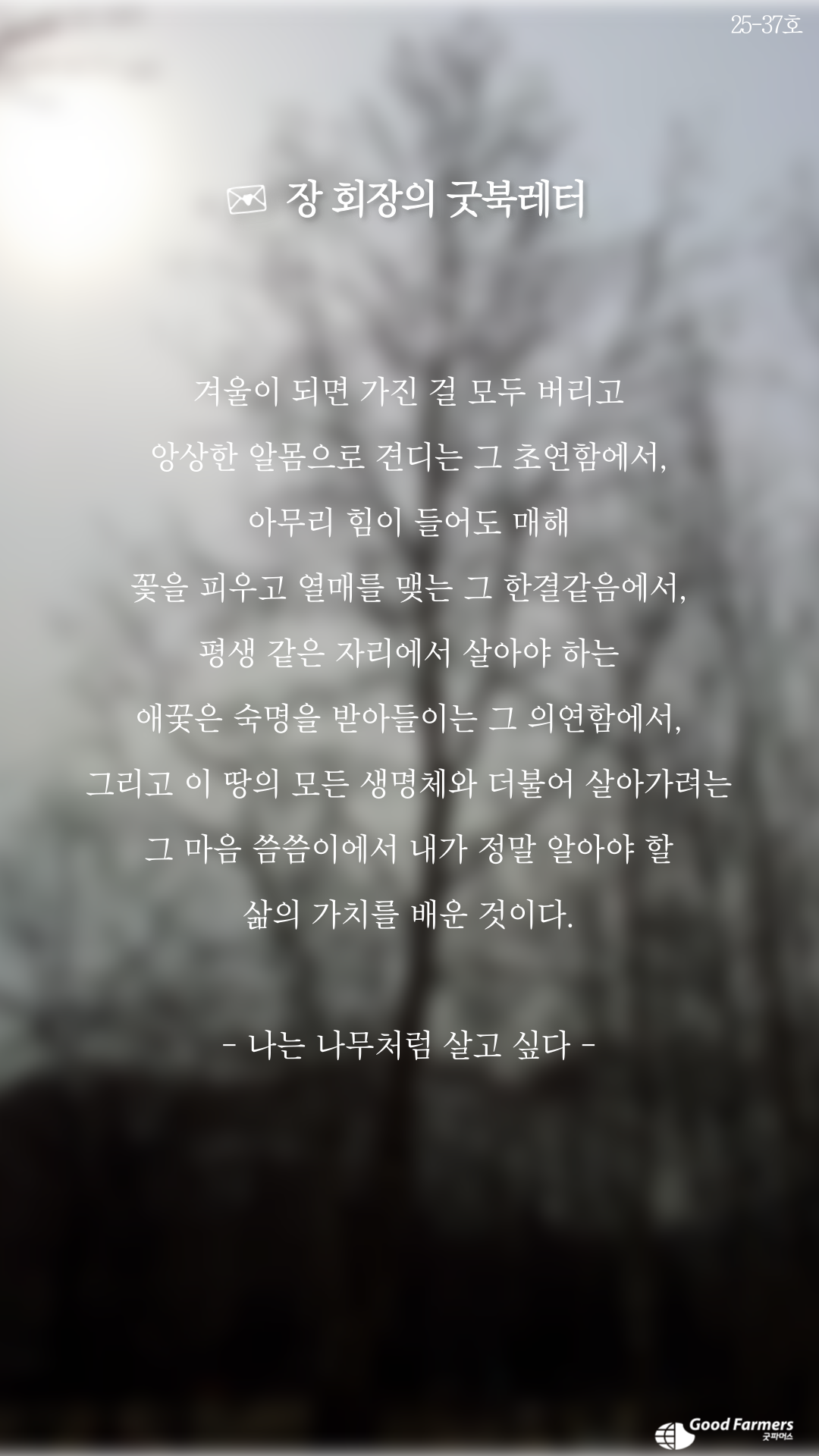 4db72b9f40992.png