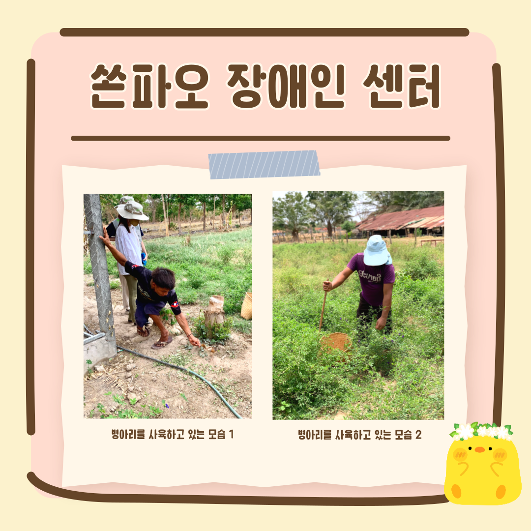 54c5363ae568c.png