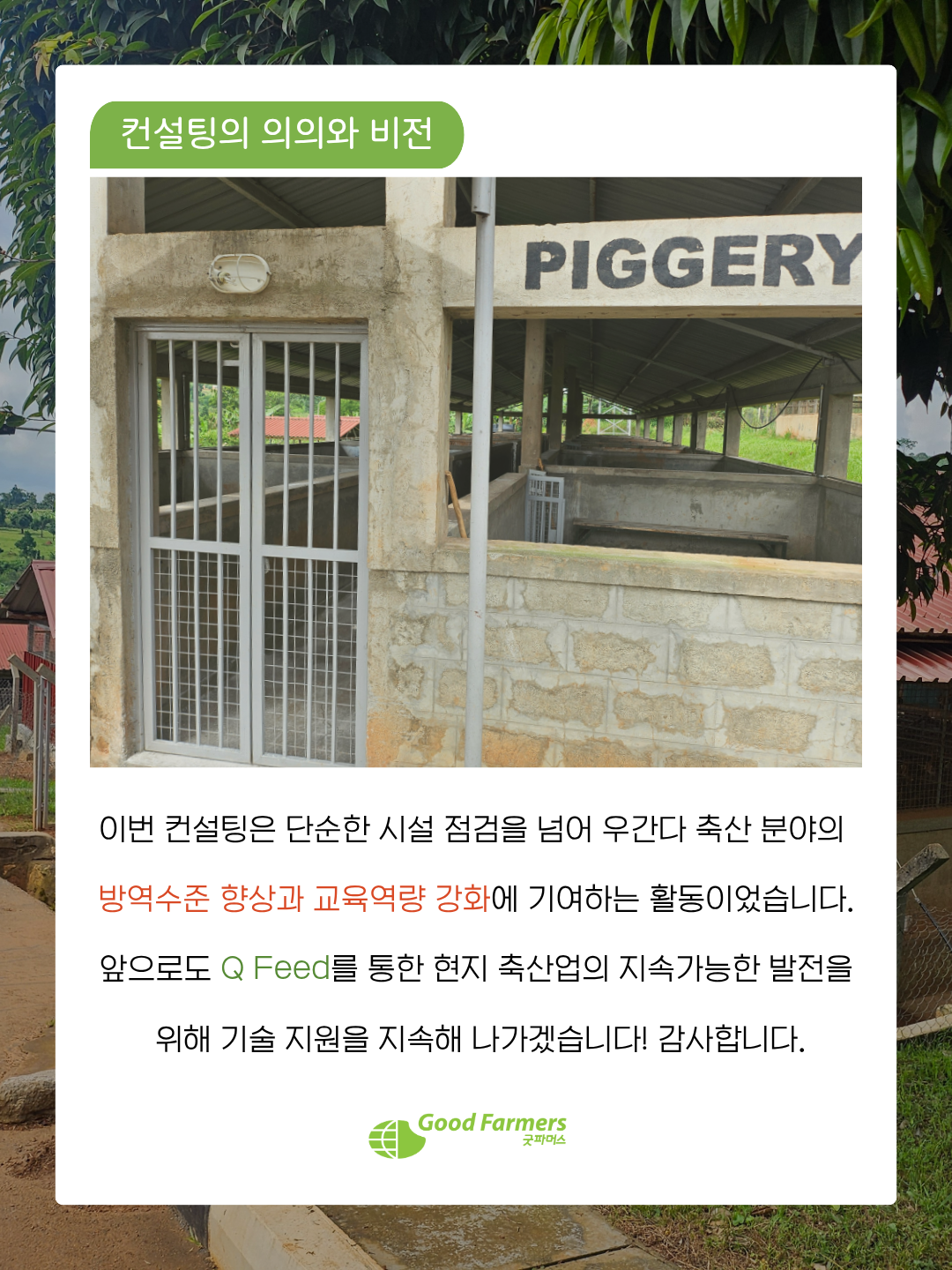 55717b8dec229.png