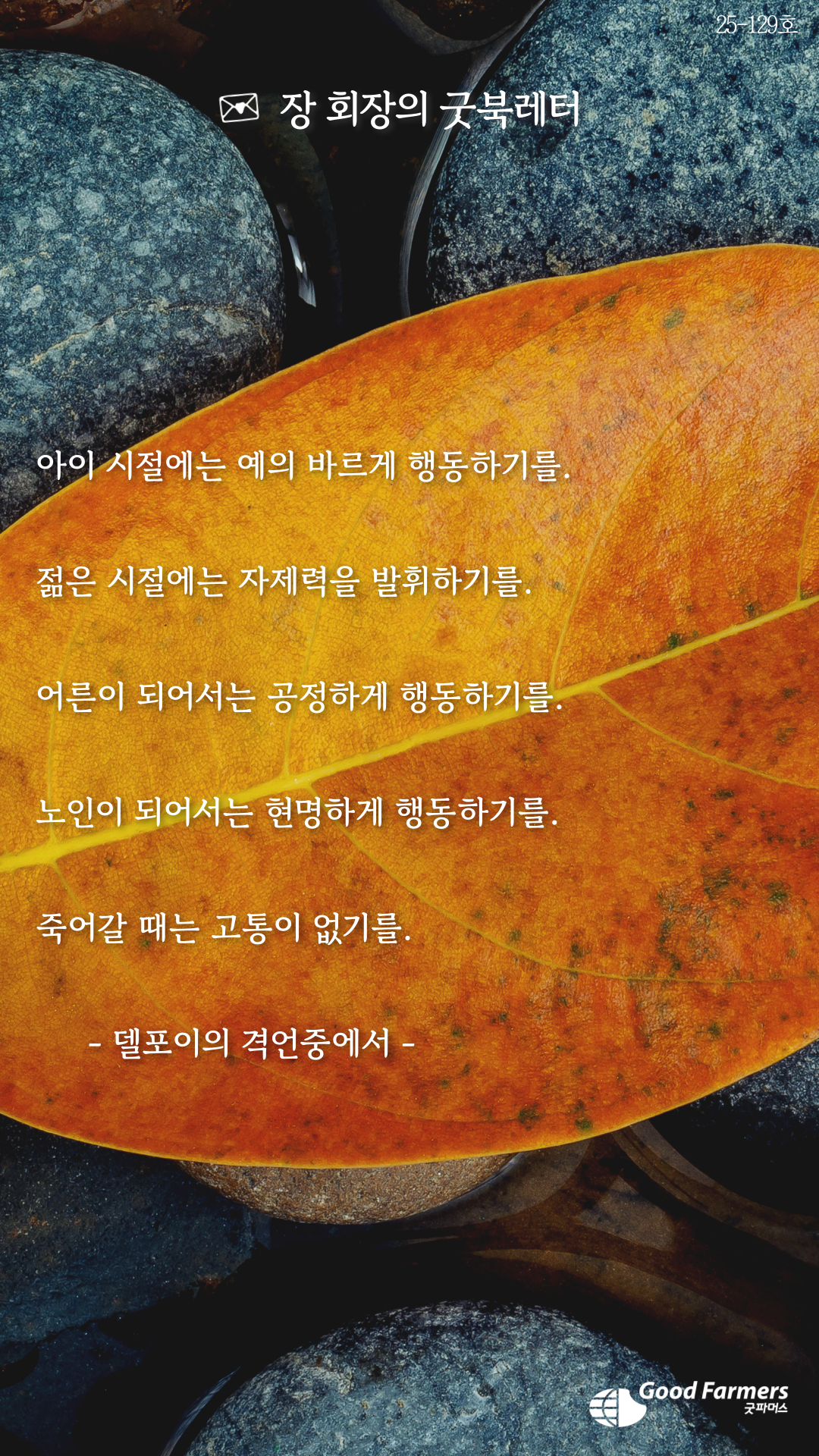 619f42dcd281e.png