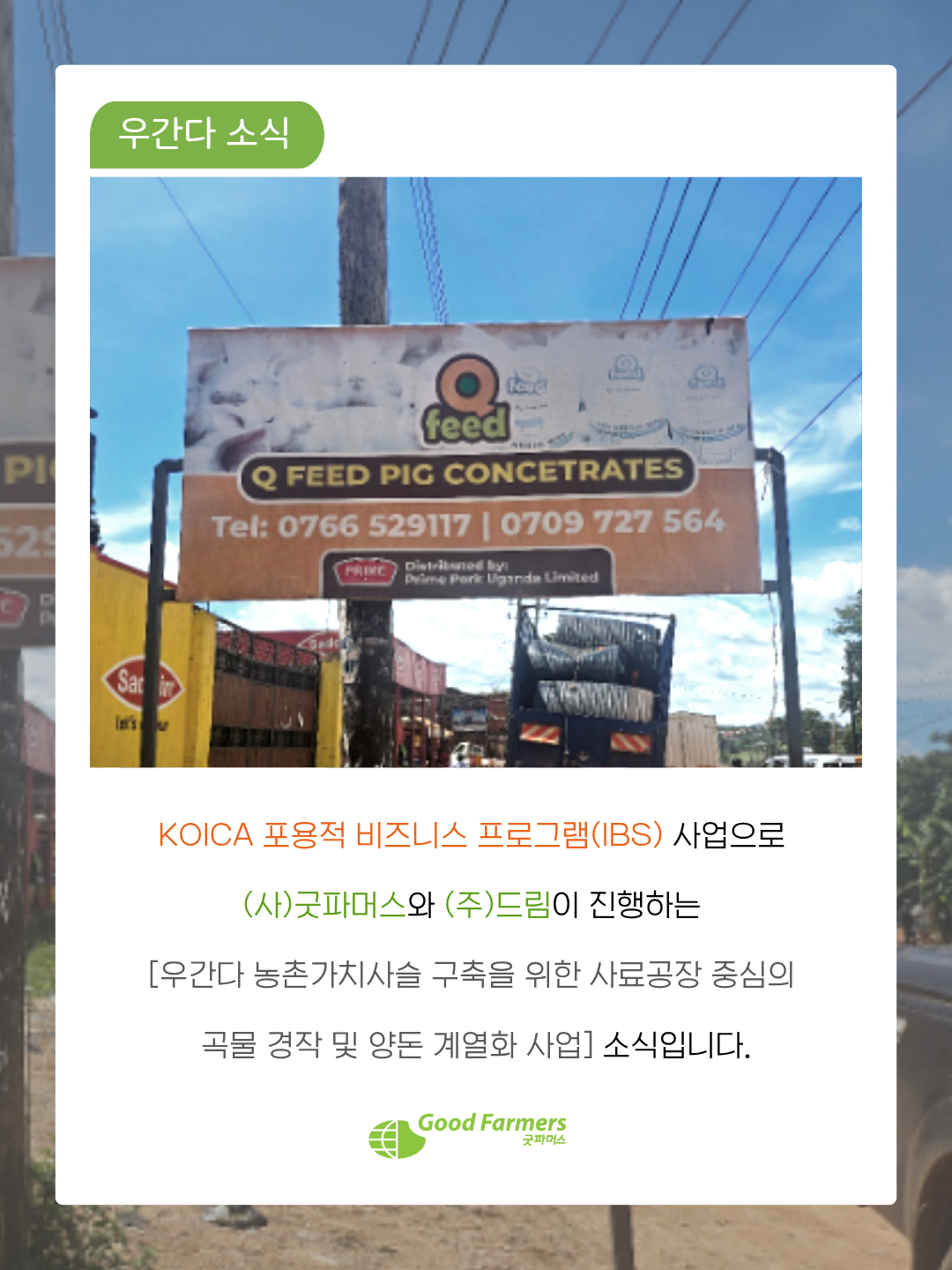 6be2833e0a270.png