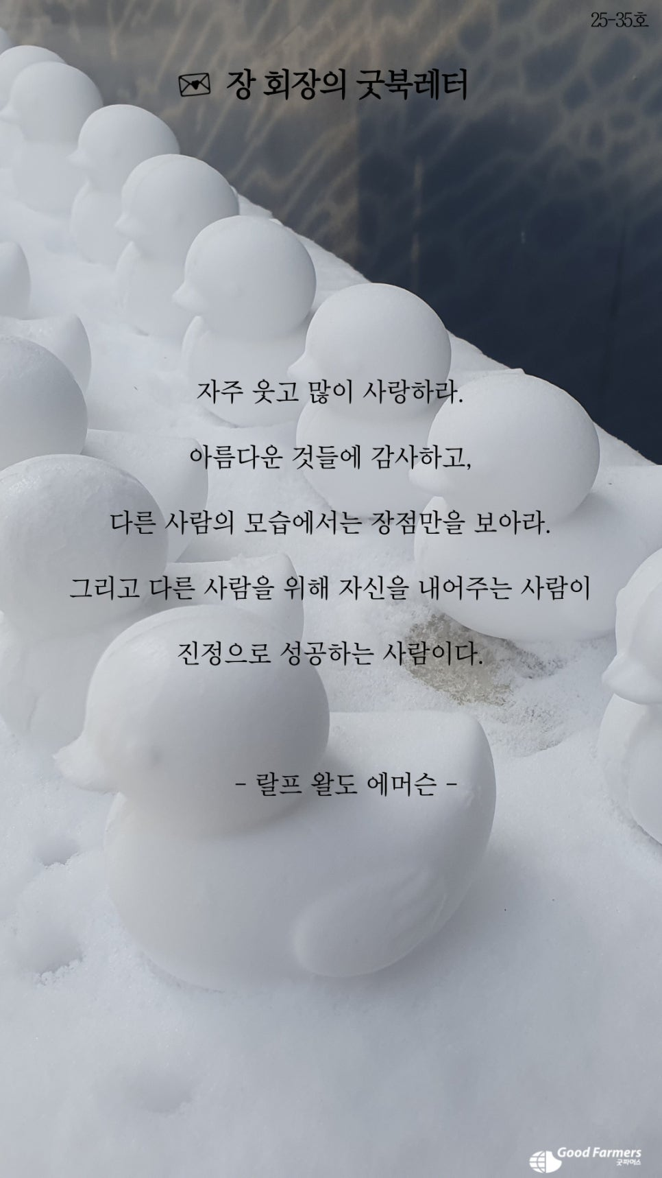 7af7dd49d568b.png