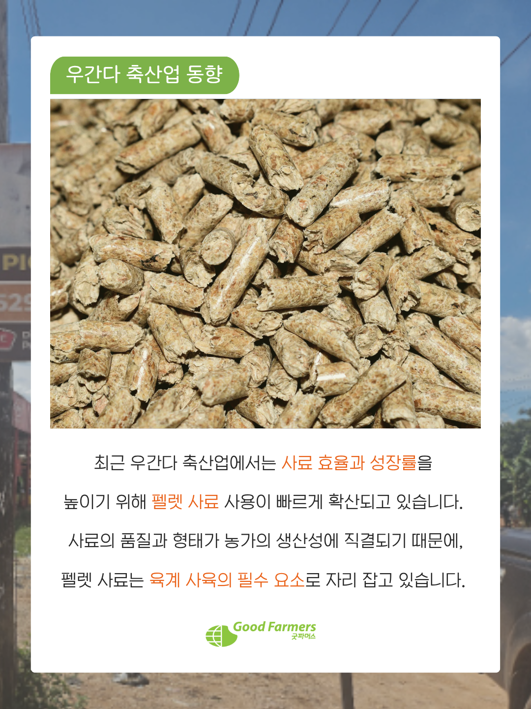 a3dd3cfde80a0.png