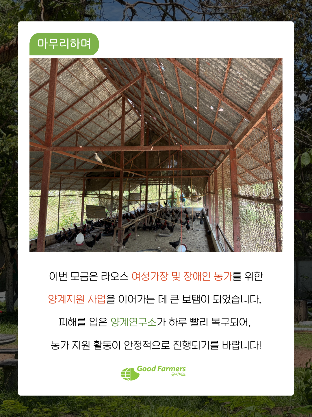 b23385b4fa6a2.png