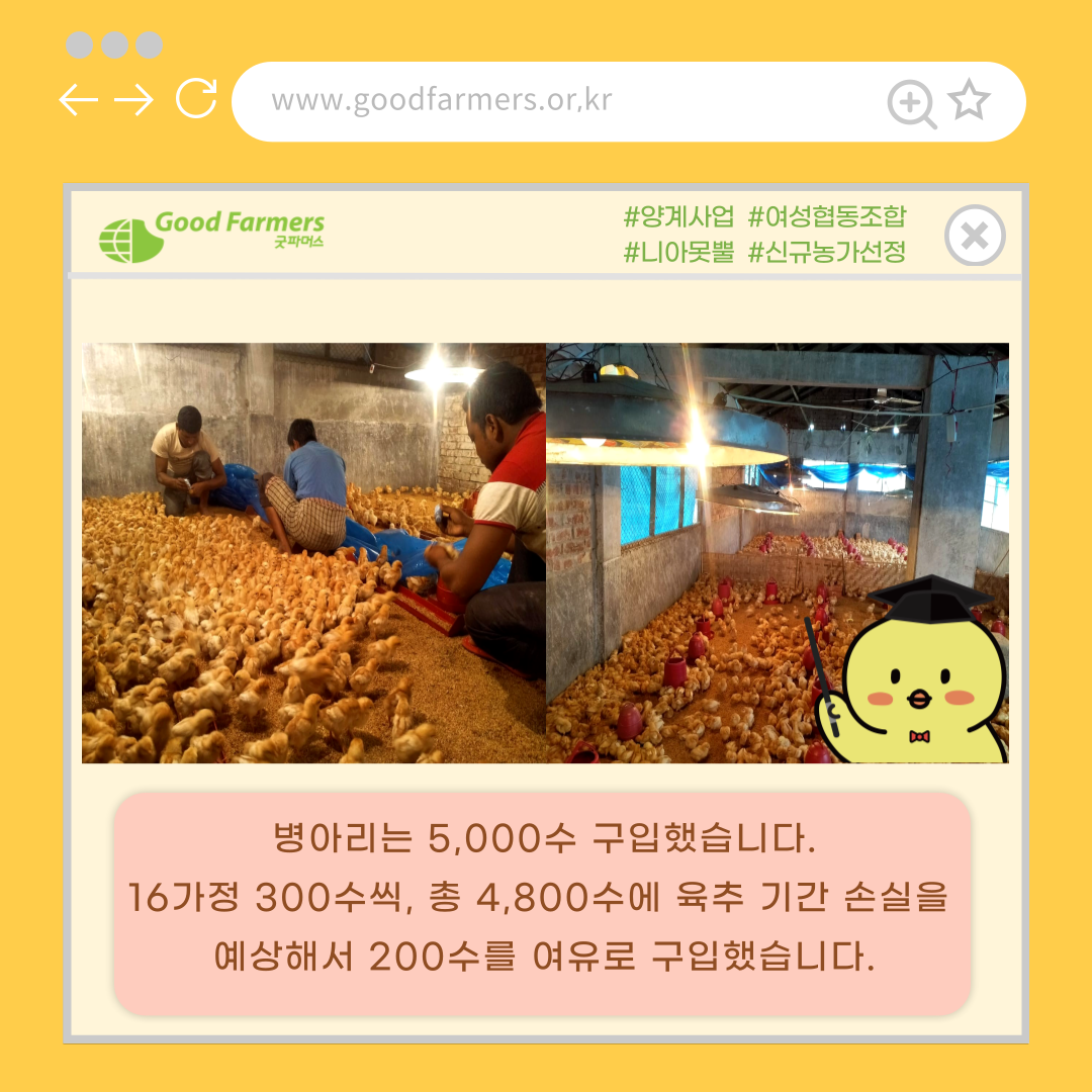b3982f839691f.png