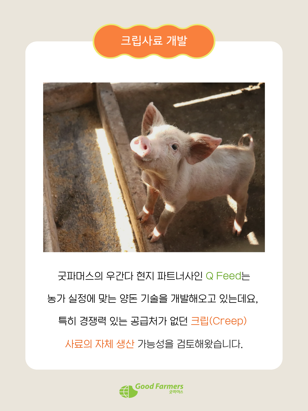 b8bab19a915a1.png