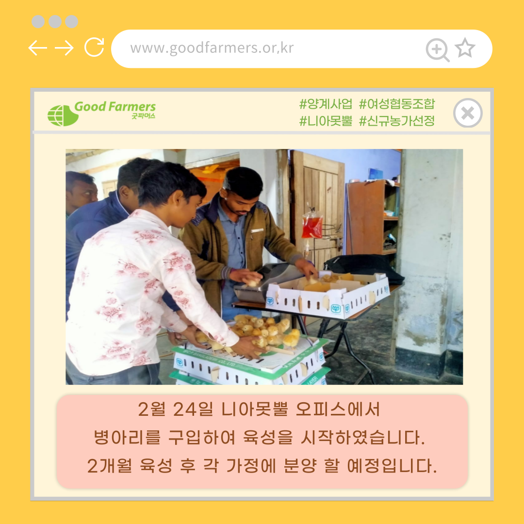 bfba66175f3e1.png