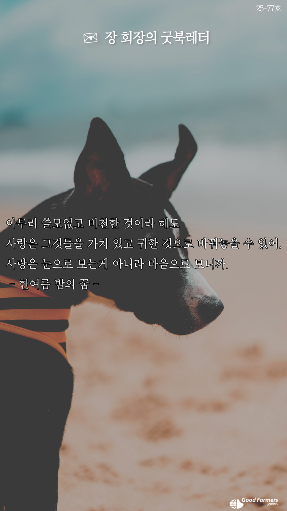 bfd49c1ae750a.png