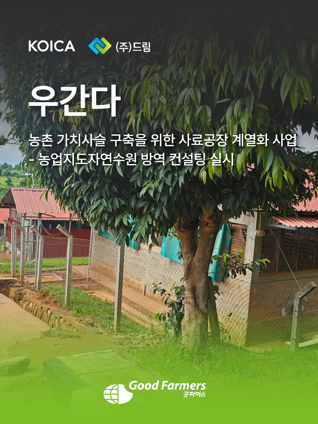 c4a27cc17e261.png