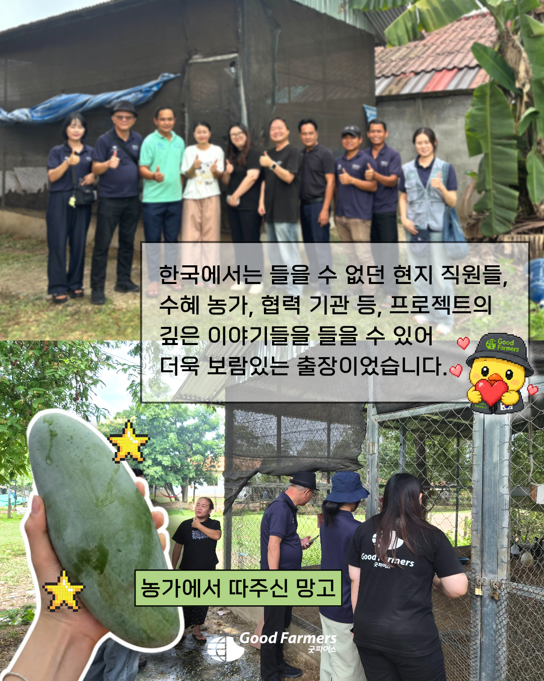 d536243d295b1.png