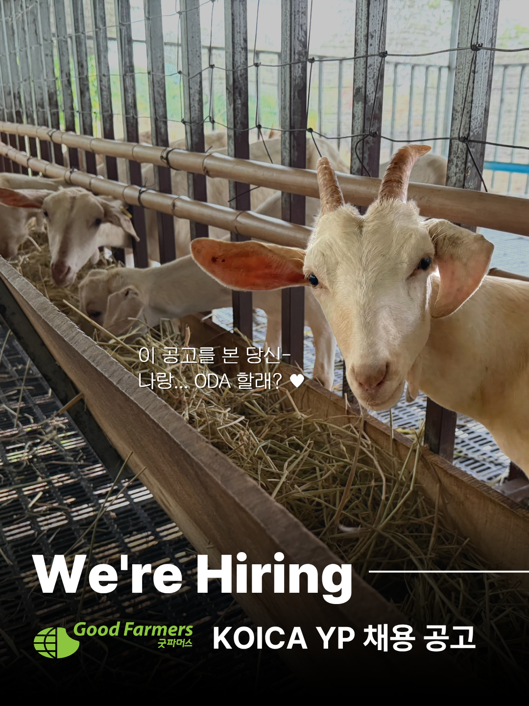 da9865741f0d8.png