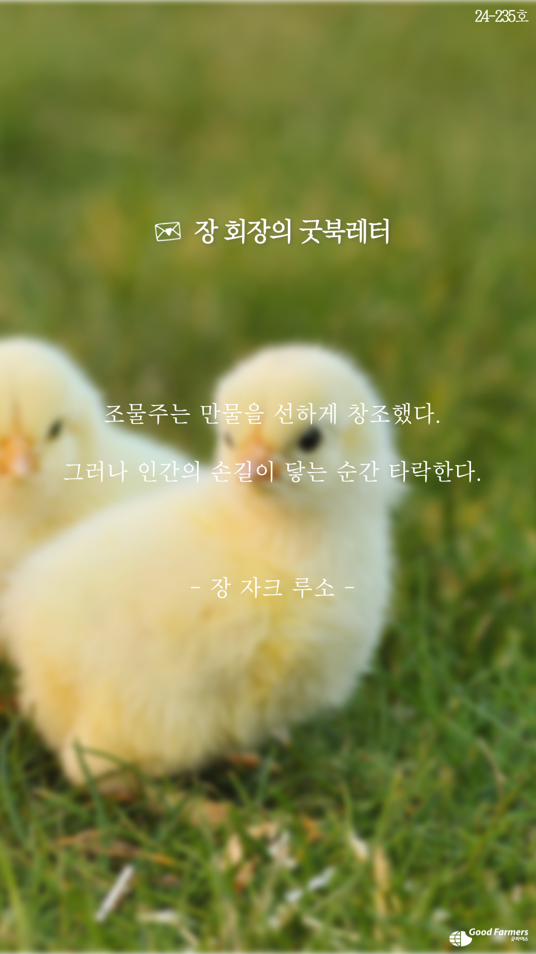 db5066a7eeb1d.jpeg