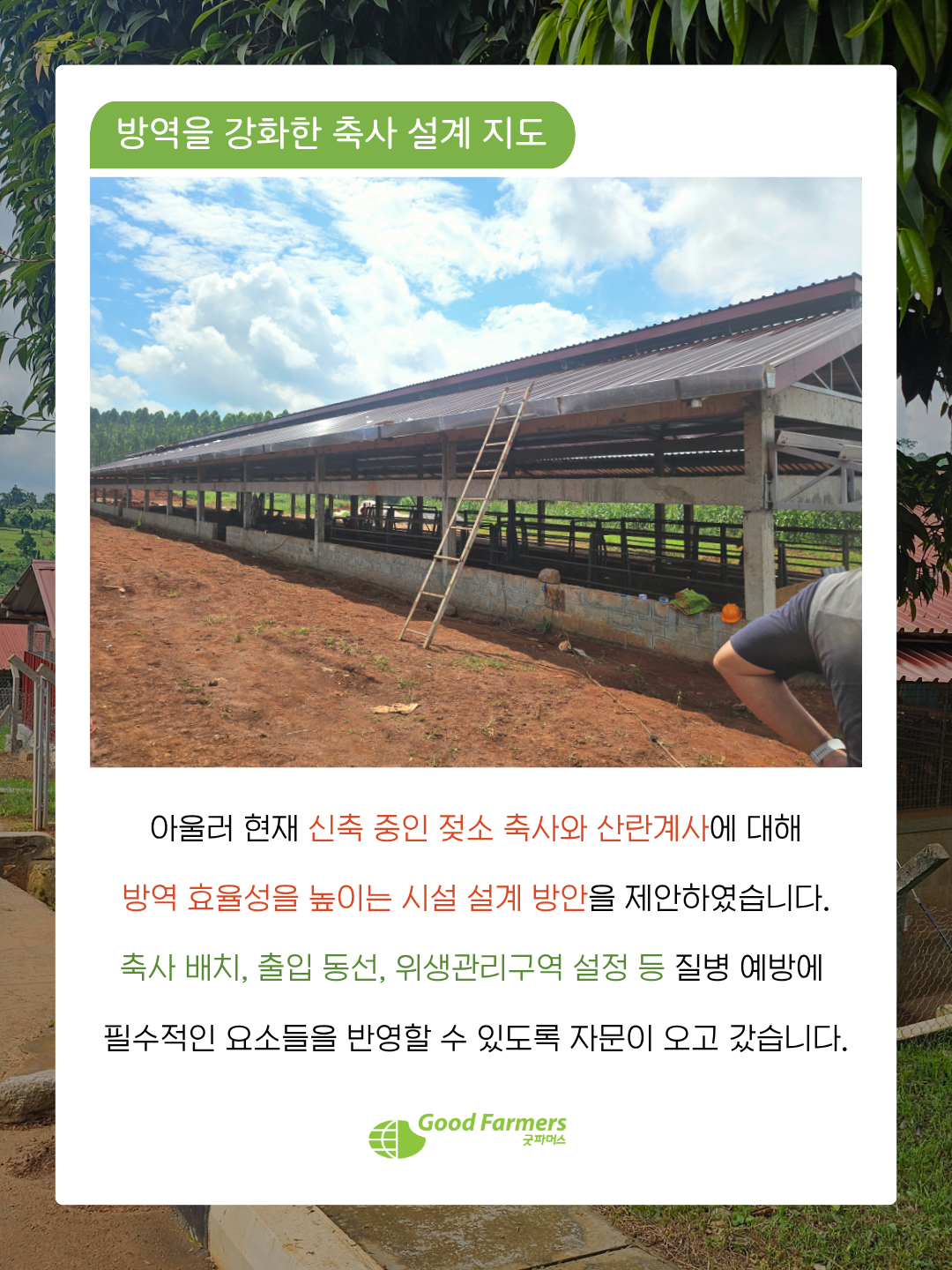 df400a890570a.png