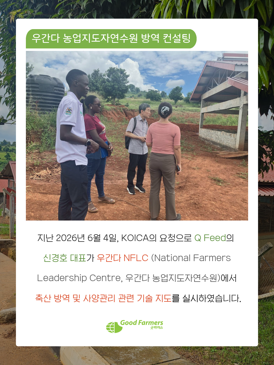 f3eaf0b268a19.png