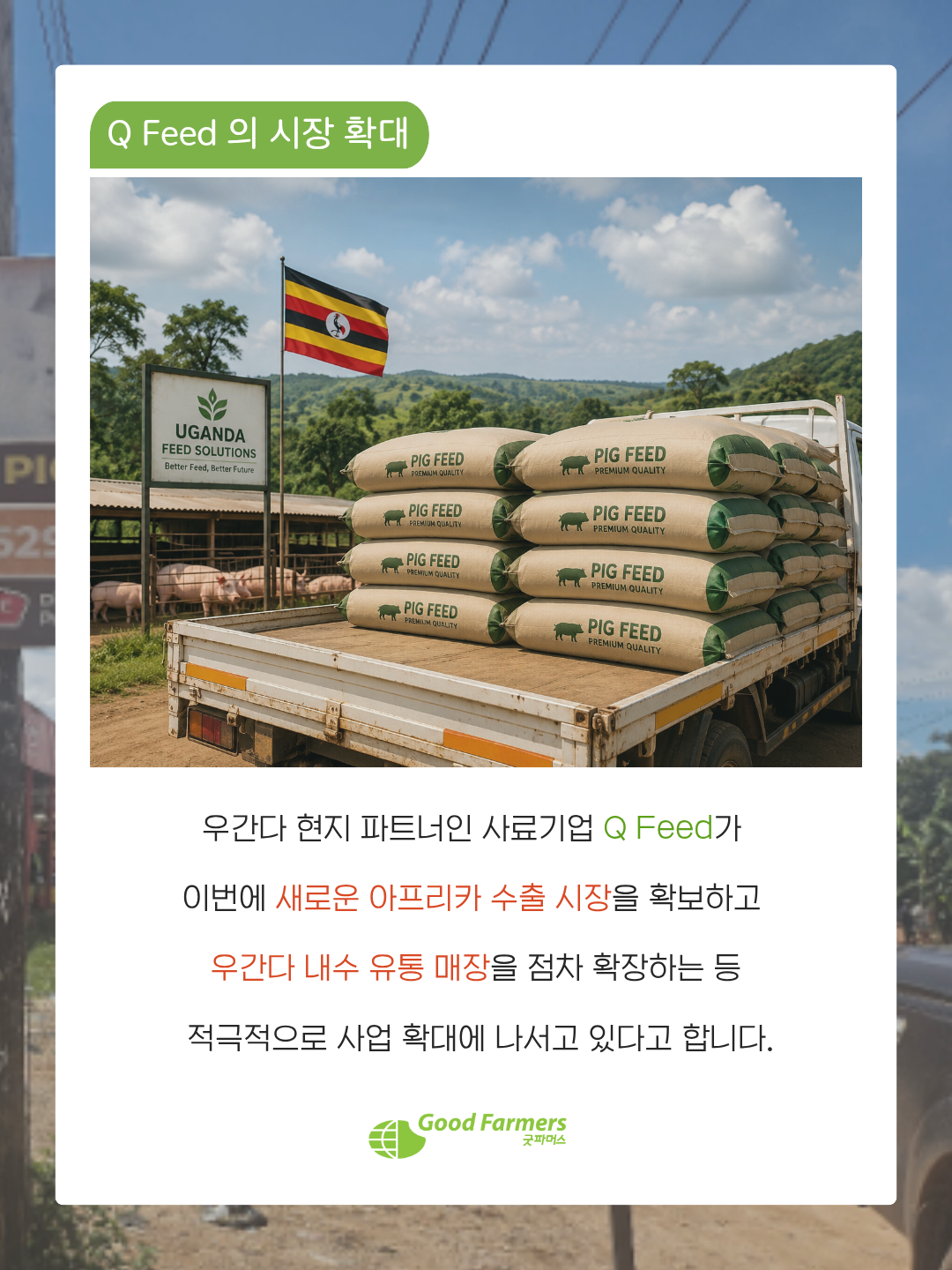 fd44ccf9775cf.png