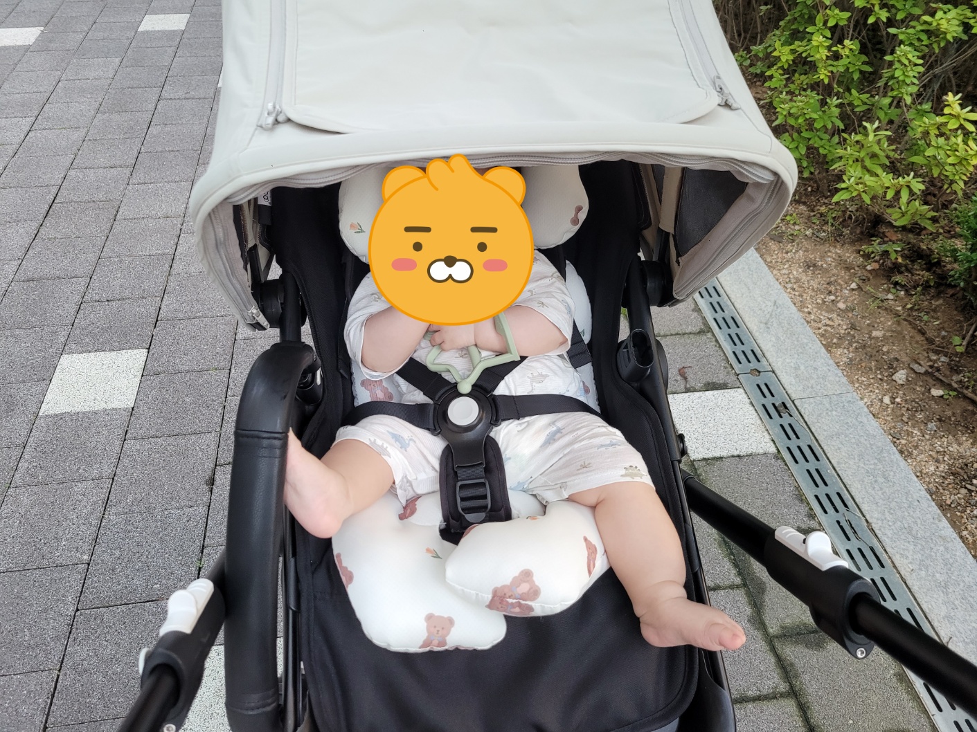6f6a7886e5c23.jpg