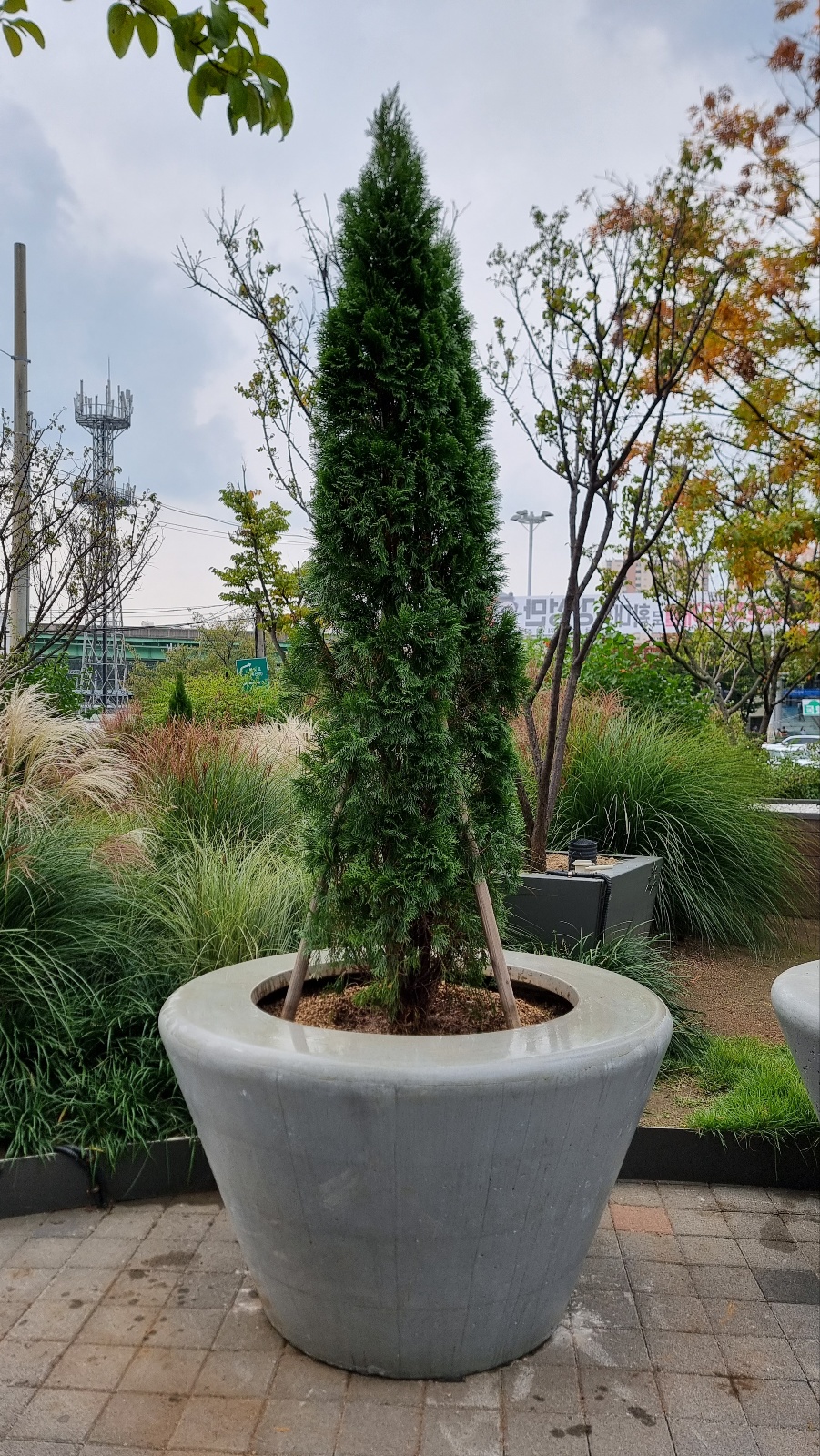 05d67812f6727.jpg