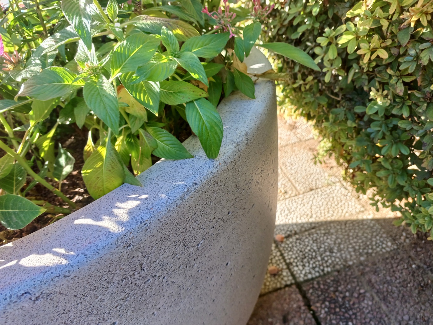 a12dfd3523c0f.jpg