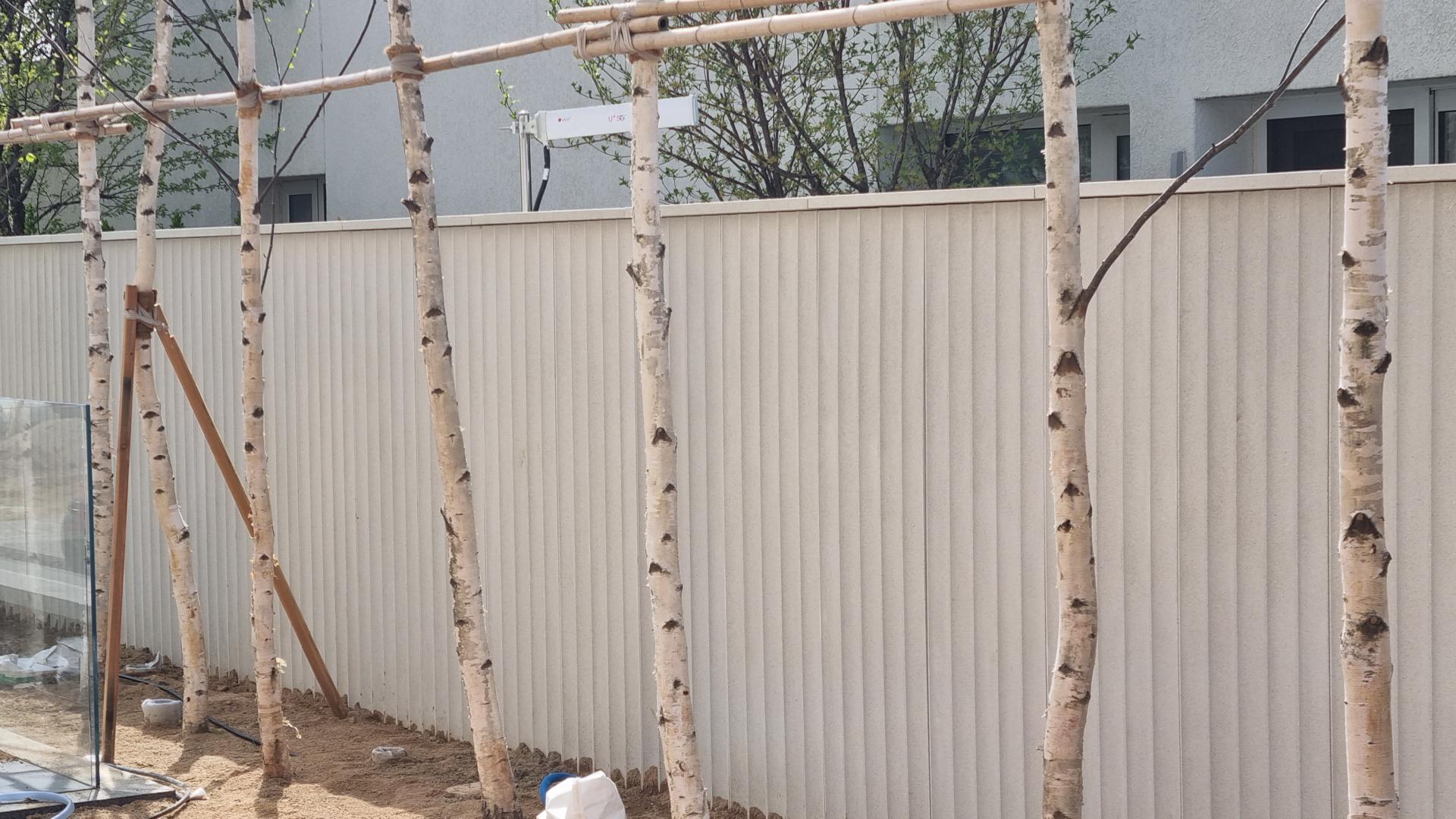 cefc96c791d1a.jpg