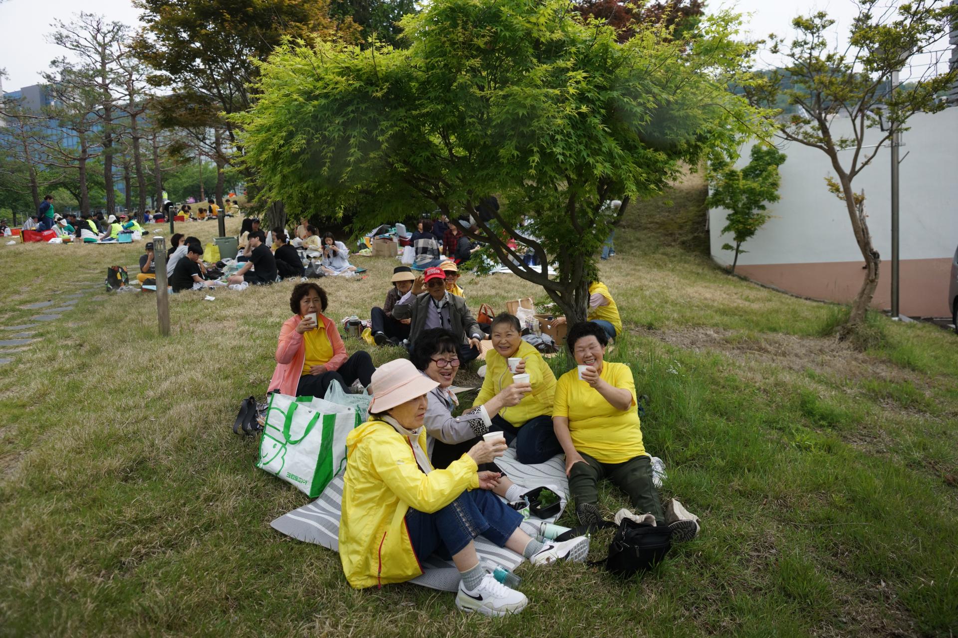 63a7002e448ad.jpg