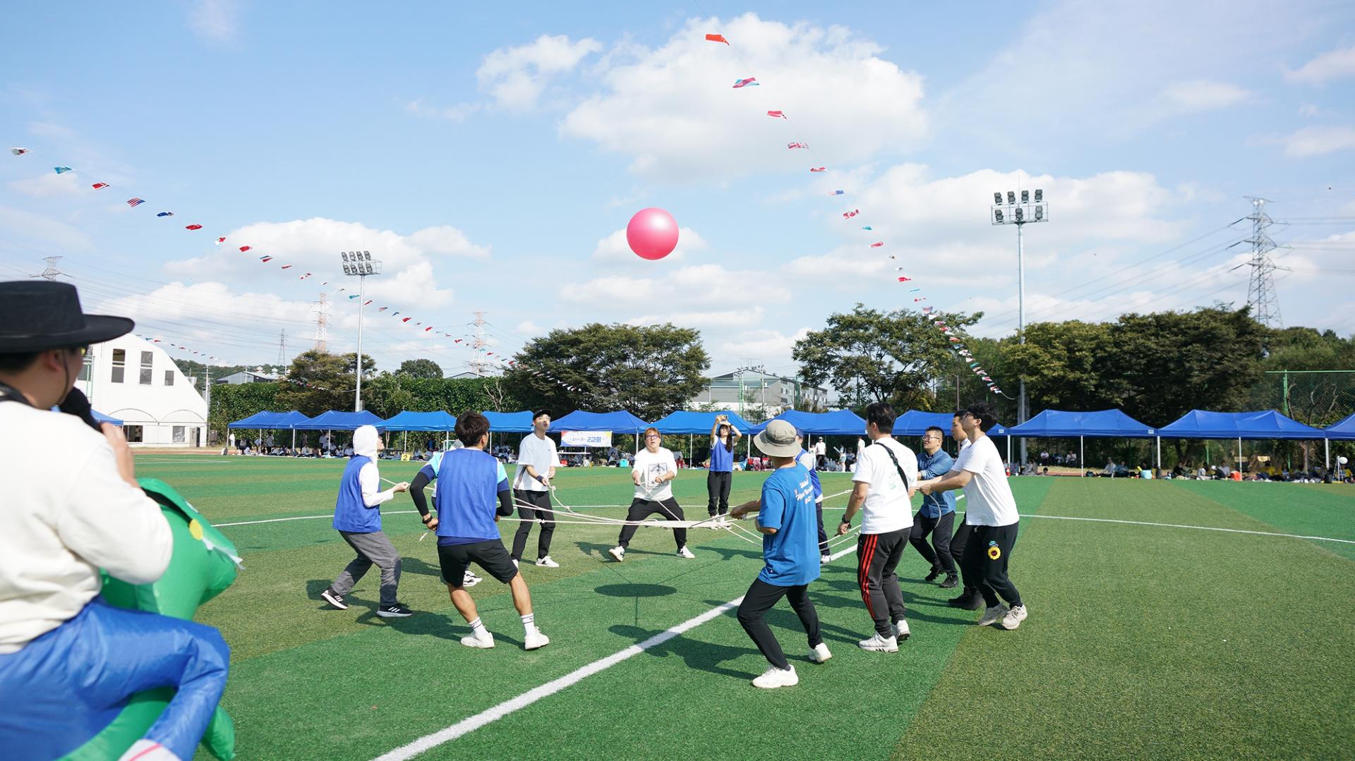d2bc63d446543.jpg