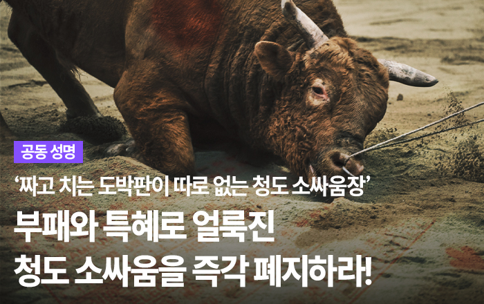 c7b8db233111e.jpg
