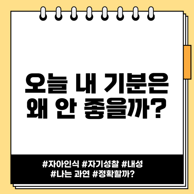 84344a3ed12fd.png