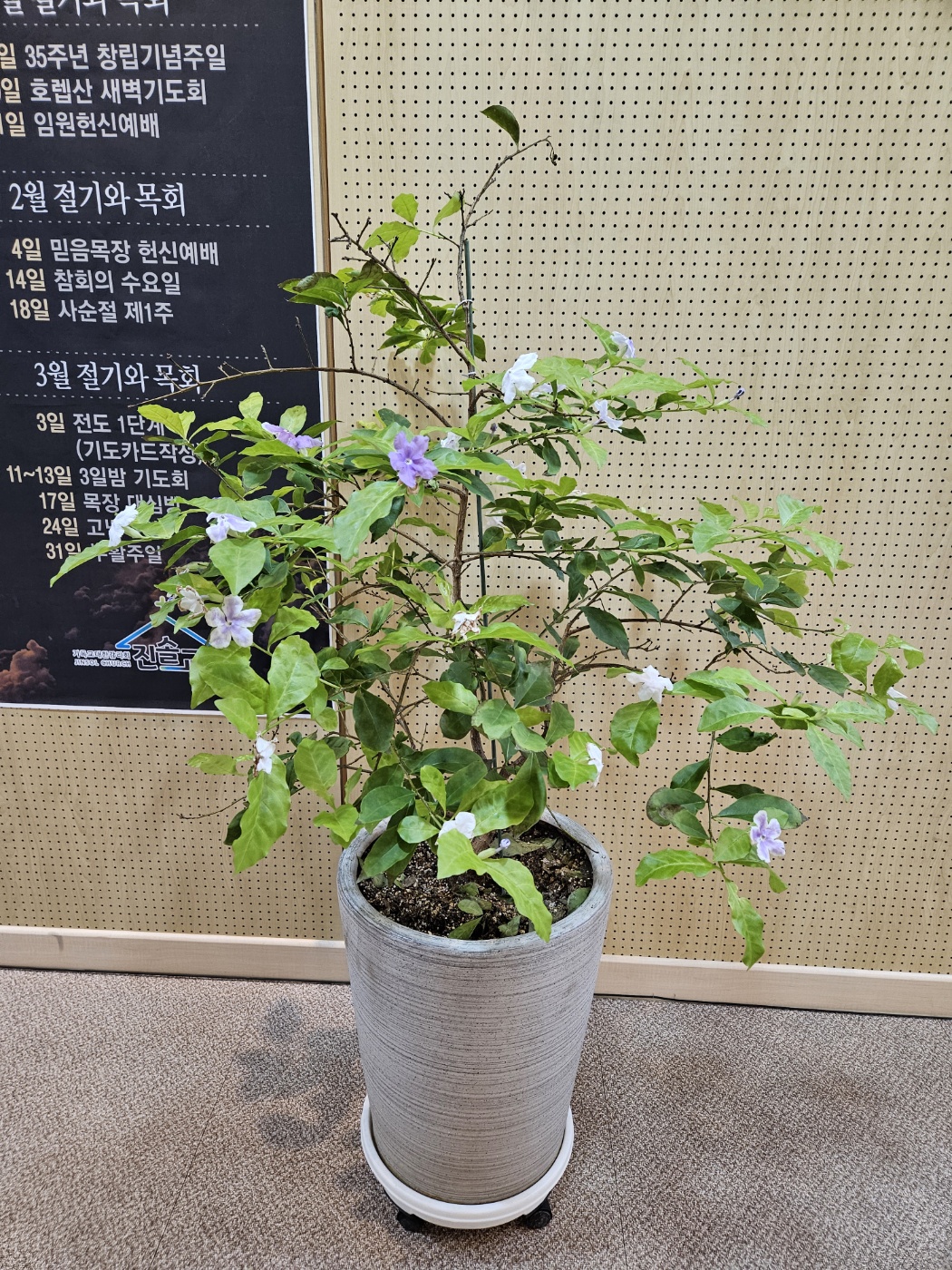 ab260c9a70d49.jpg