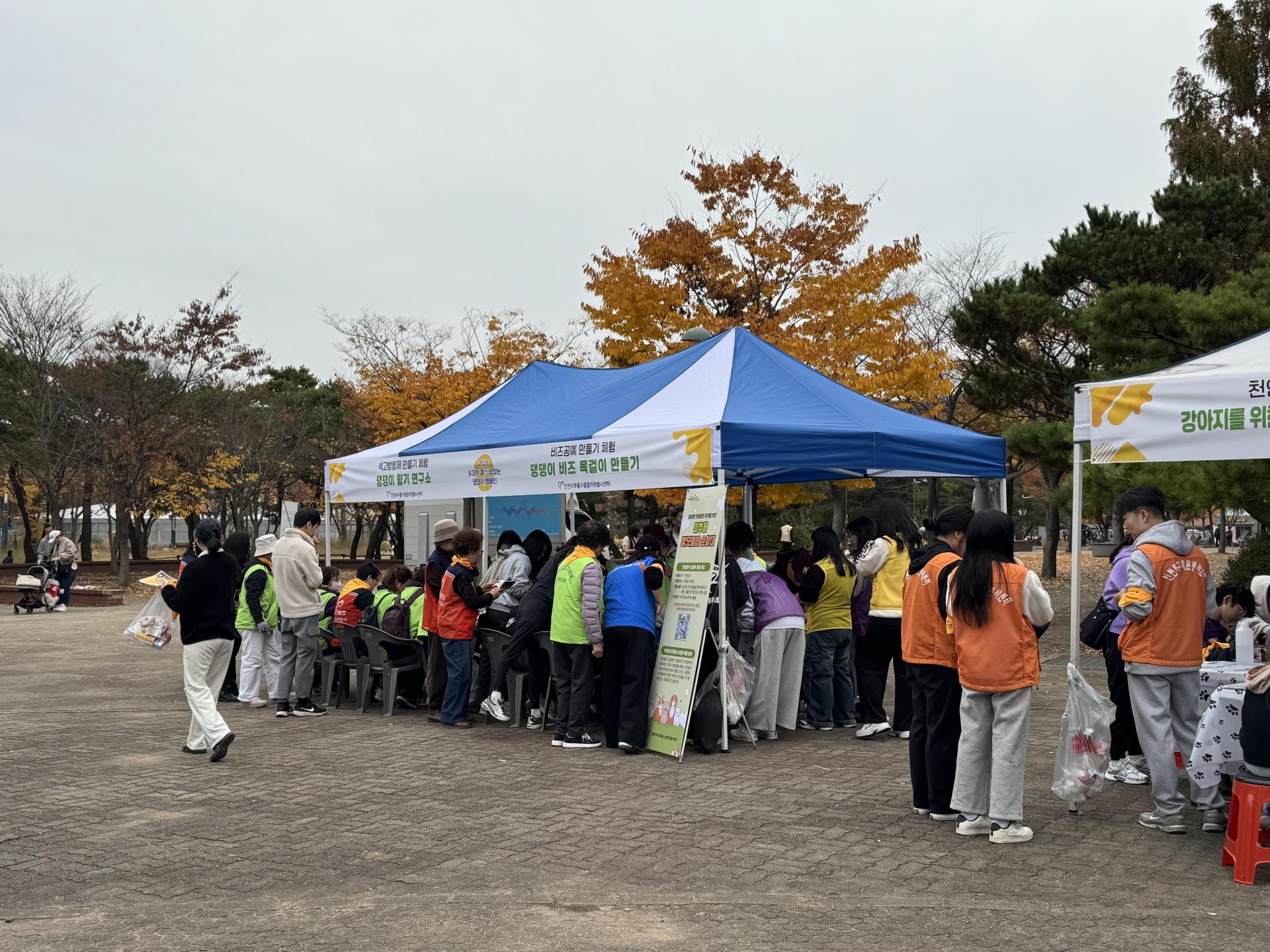 438460eac5a14.jpg
