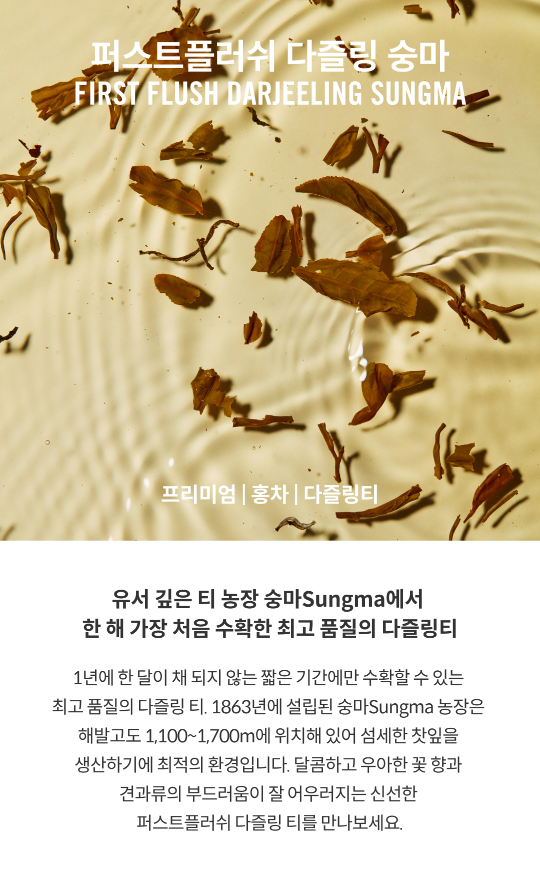 [봄 프로모션] 아이코닉티 다즐링 숭마 (잎차(대) 40% 할인)