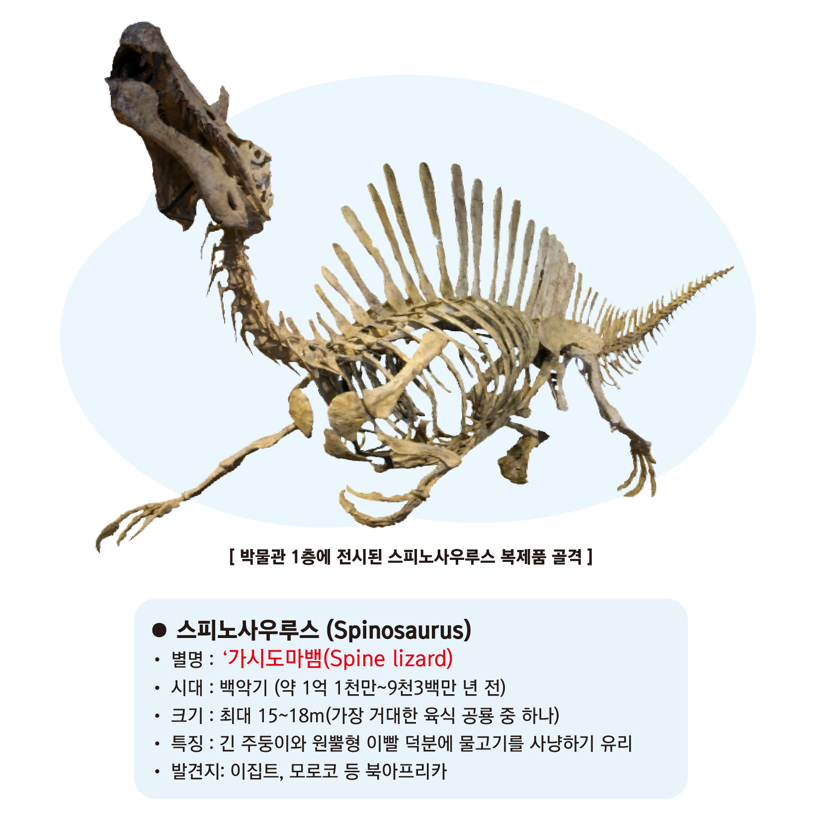 0c9ff235981ef.png
