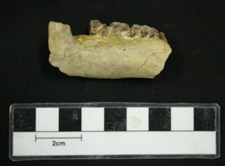 1ce291b82882c.jpg