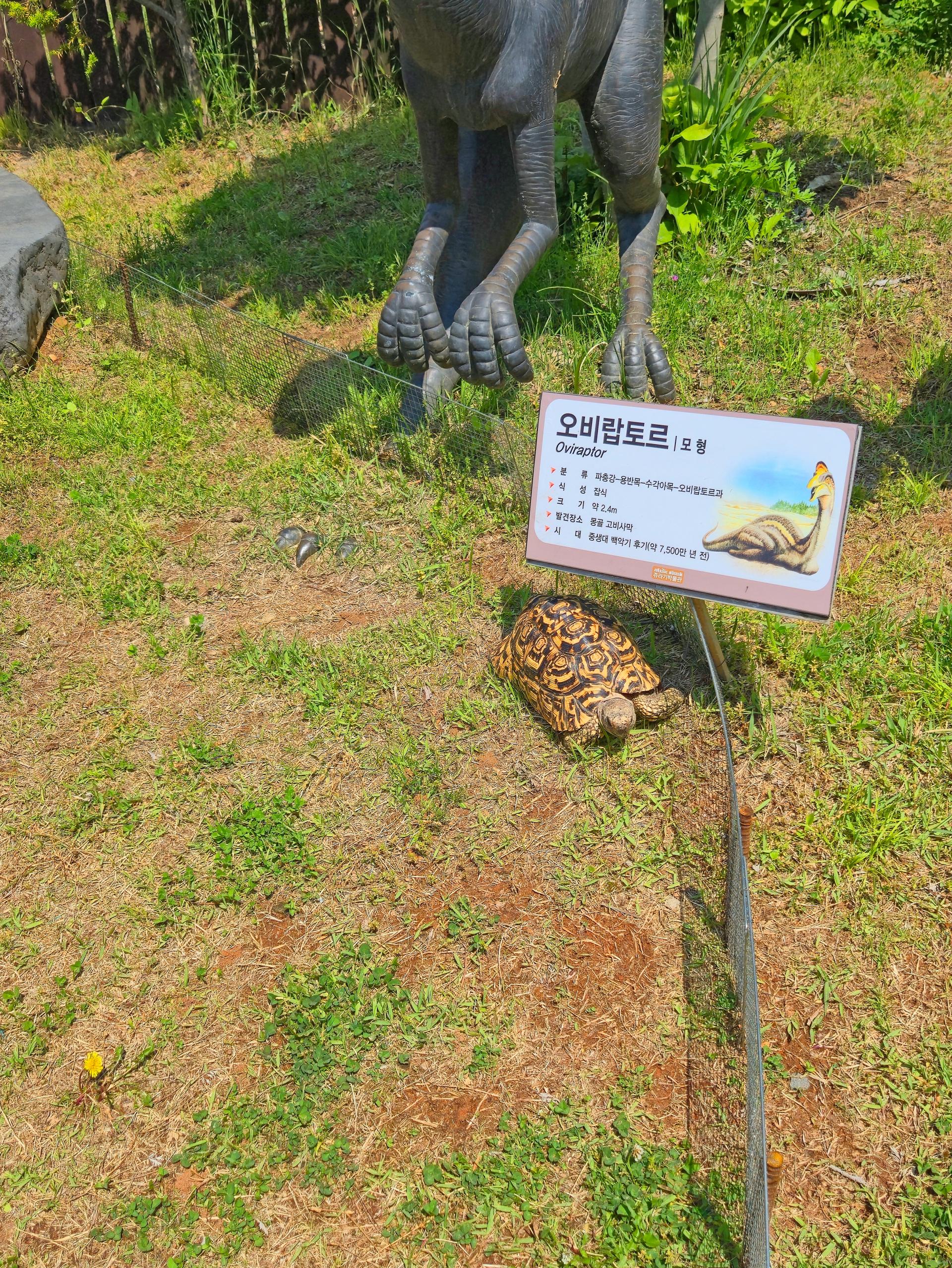 26048c6913b86.jpg