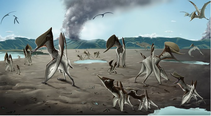 허민 전남대 지구환경과학부 교수 연구팀과 영국 레스터대, 중국 지질과학대는 전남 화순군 서유리의 9400만년된 공룡화석지에서 2~6cm 크기에 이르는 익룡 발자국 화석 300개 이상을 발견했다고 28일 밝혔다. 전남대 제공