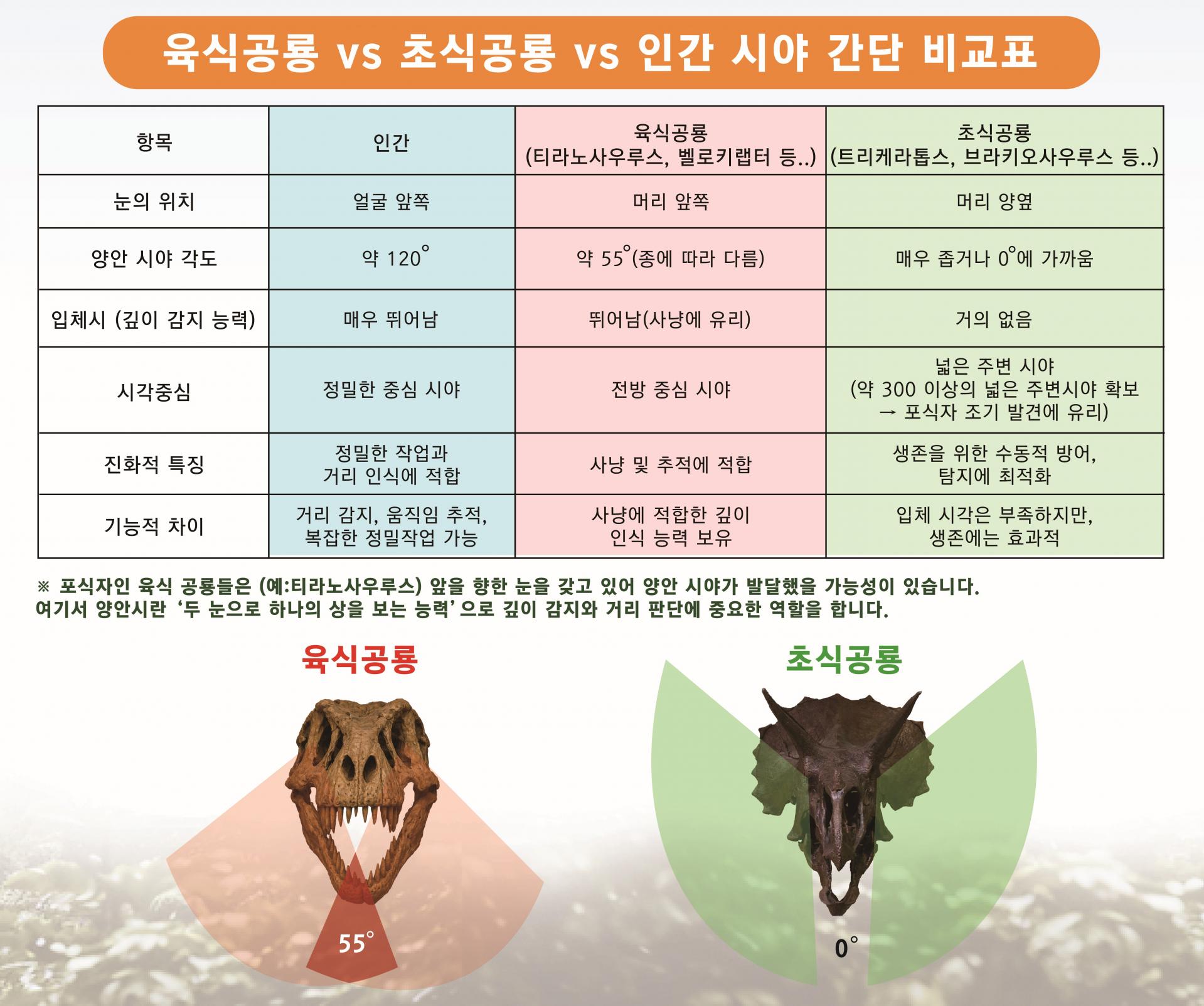 5c7944d8e15bb.jpg