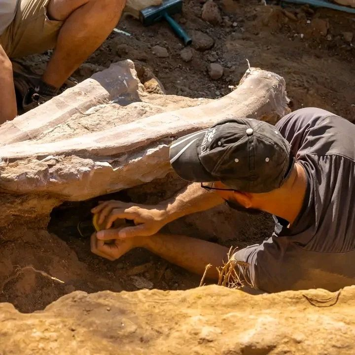 사진=리스본 대학