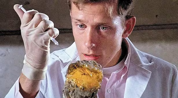 1993년 개봉한 영화 ‘쥬라기공원’에서 연구원이 호박 속 모기에서 공룡의 피를 뽑아내는 장면. /유니버설