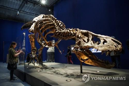티라노사우루스 렉스 화석 기사 내용과 직접 관련 없음. ⓒEPA 연합뉴스 자료사진