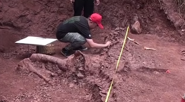 8c136c06996b6.png