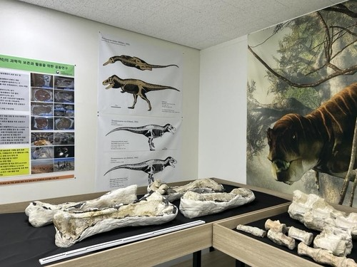'타르보사우루스 바타르'의 뼈